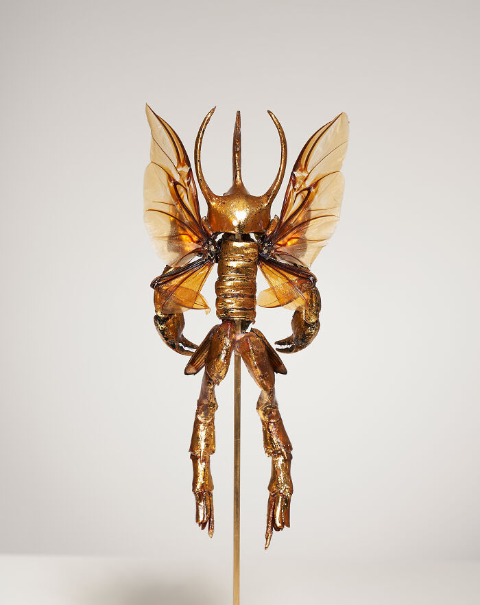 Amsterdam-Based Artist Creates Surreal Sculptures Inspired By Fairies, Flowers, Skeletons, And Insects (33 Pics) Amsterdam-Based Artist Creates Surreal Sculptures Inspired By Fairies, Flowers, Skeletons, And Insects (33 Pics)