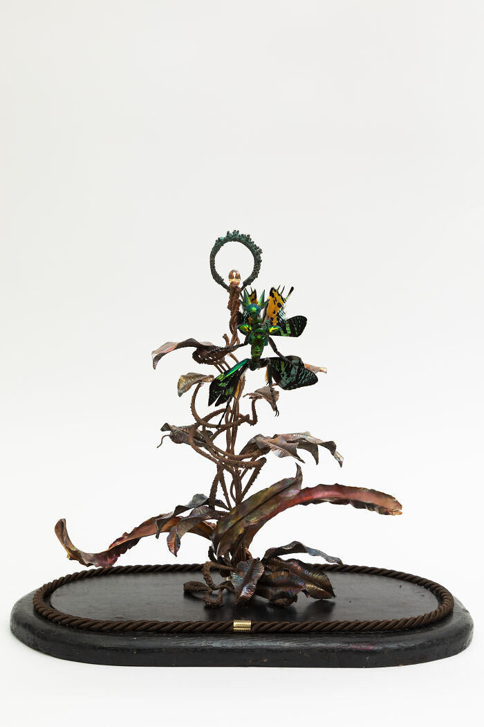 Amsterdam-Based Artist Creates Surreal Sculptures Inspired By Fairies, Flowers, Skeletons, And Insects (33 Pics) Amsterdam-Based Artist Creates Surreal Sculptures Inspired By Fairies, Flowers, Skeletons, And Insects (33 Pics)