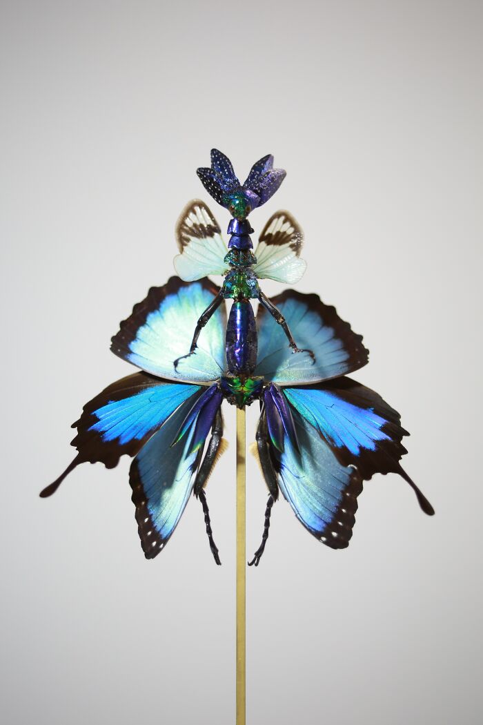 Amsterdam-Based Artist Creates Surreal Sculptures Inspired By Fairies, Flowers, Skeletons, And Insects (33 Pics) Amsterdam-Based Artist Creates Surreal Sculptures Inspired By Fairies, Flowers, Skeletons, And Insects (33 Pics)