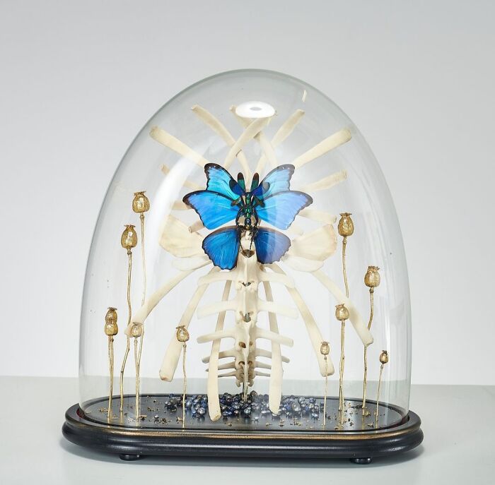 Amsterdam-Based Artist Creates Surreal Sculptures Inspired By Fairies, Flowers, Skeletons, And Insects (33 Pics) Amsterdam-Based Artist Creates Surreal Sculptures Inspired By Fairies, Flowers, Skeletons, And Insects (33 Pics)