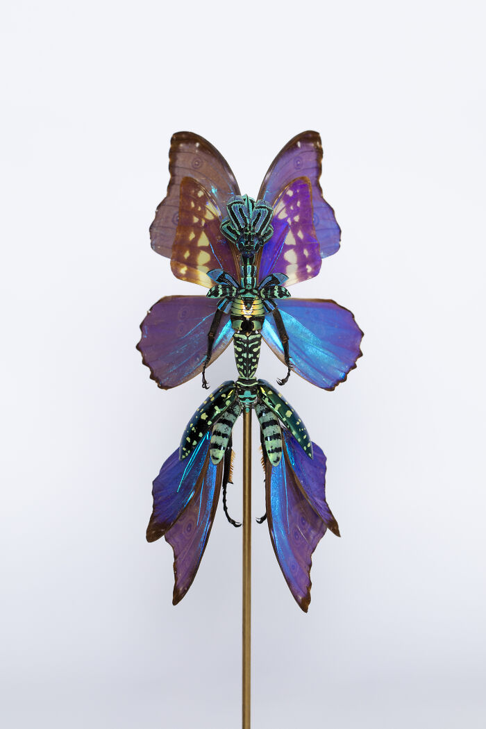 Amsterdam-Based Artist Creates Surreal Sculptures Inspired By Fairies, Flowers, Skeletons, And Insects (33 Pics) Amsterdam-Based Artist Creates Surreal Sculptures Inspired By Fairies, Flowers, Skeletons, And Insects (33 Pics)