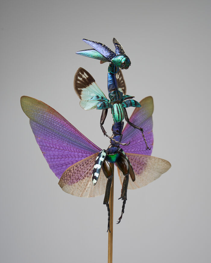Amsterdam-Based Artist Creates Surreal Sculptures Inspired By Fairies, Flowers, Skeletons, And Insects (33 Pics) Amsterdam-Based Artist Creates Surreal Sculptures Inspired By Fairies, Flowers, Skeletons, And Insects (33 Pics)