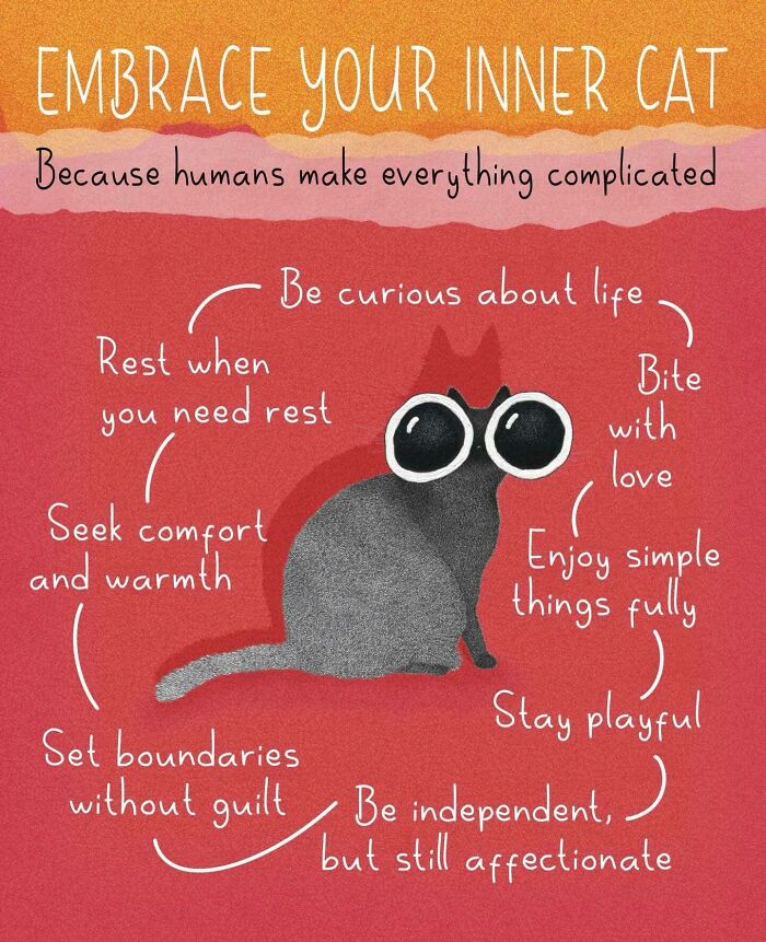 35 Times This Artist Made Illustrations That Capture The Essence Of Cats Perfectly (New Pics) 35 Times This Artist Made Illustrations That Capture The Essence Of Cats Perfectly (New Pics)