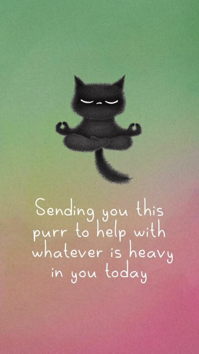 35 Times This Artist Made Illustrations That Capture The Essence Of Cats Perfectly (New Pics) 35 Times This Artist Made Illustrations That Capture The Essence Of Cats Perfectly (New Pics)