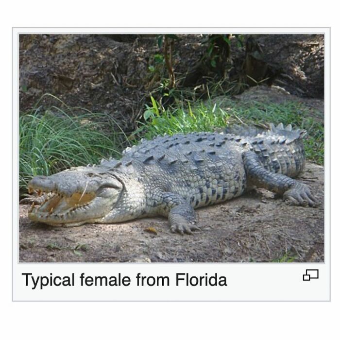 This Page Is Dedicated To The Weird Side Of Wikipedia, And Here Are 69 Of The Best Animal-Related Examples This Page Is Dedicated To The Weird Side Of Wikipedia, And Here Are 69 Of The Best Animal-Related Examples