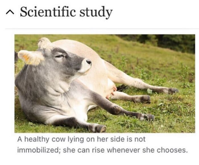 This Page Is Dedicated To The Weird Side Of Wikipedia, And Here Are 69 Of The Best Animal-Related Examples This Page Is Dedicated To The Weird Side Of Wikipedia, And Here Are 69 Of The Best Animal-Related Examples