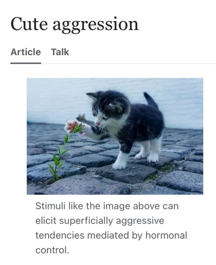 This Page Is Dedicated To The Weird Side Of Wikipedia, And Here Are 69 Of The Best Animal-Related Examples This Page Is Dedicated To The Weird Side Of Wikipedia, And Here Are 69 Of The Best Animal-Related Examples