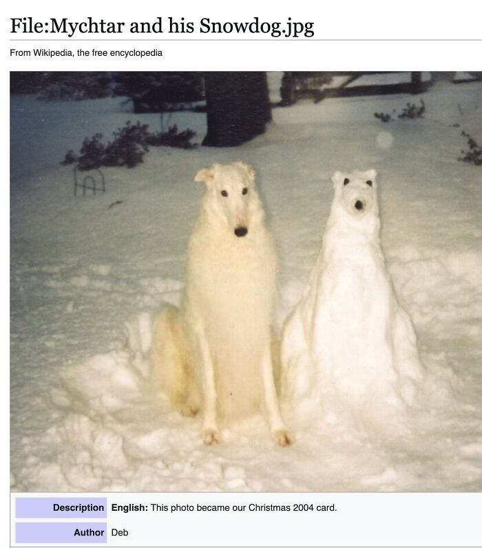 This Page Is Dedicated To The Weird Side Of Wikipedia, And Here Are 69 Of The Best Animal-Related Examples This Page Is Dedicated To The Weird Side Of Wikipedia, And Here Are 69 Of The Best Animal-Related Examples