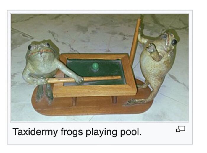 This Page Is Dedicated To The Weird Side Of Wikipedia, And Here Are 69 Of The Best Animal-Related Examples This Page Is Dedicated To The Weird Side Of Wikipedia, And Here Are 69 Of The Best Animal-Related Examples