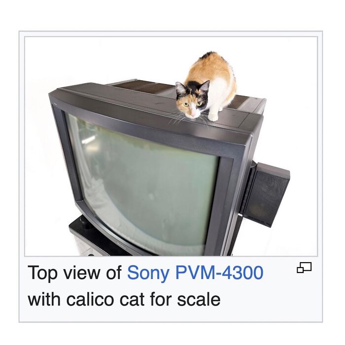 This Page Is Dedicated To The Weird Side Of Wikipedia, And Here Are 69 Of The Best Animal-Related Examples This Page Is Dedicated To The Weird Side Of Wikipedia, And Here Are 69 Of The Best Animal-Related Examples