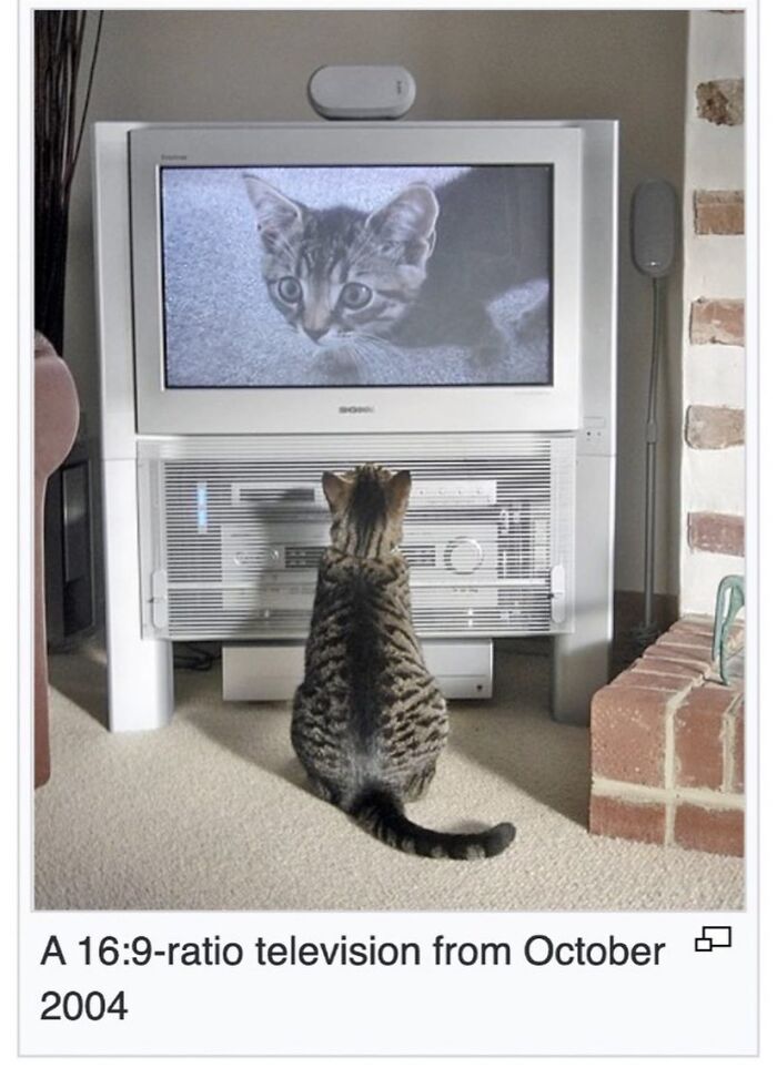 This Page Is Dedicated To The Weird Side Of Wikipedia, And Here Are 69 Of The Best Animal-Related Examples This Page Is Dedicated To The Weird Side Of Wikipedia, And Here Are 69 Of The Best Animal-Related Examples