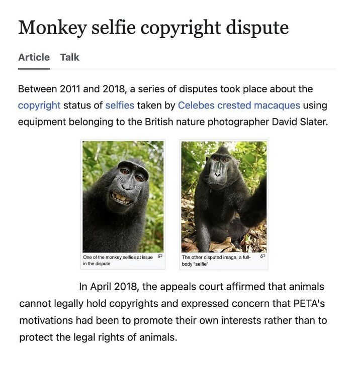 This Page Is Dedicated To The Weird Side Of Wikipedia, And Here Are 69 Of The Best Animal-Related Examples This Page Is Dedicated To The Weird Side Of Wikipedia, And Here Are 69 Of The Best Animal-Related Examples