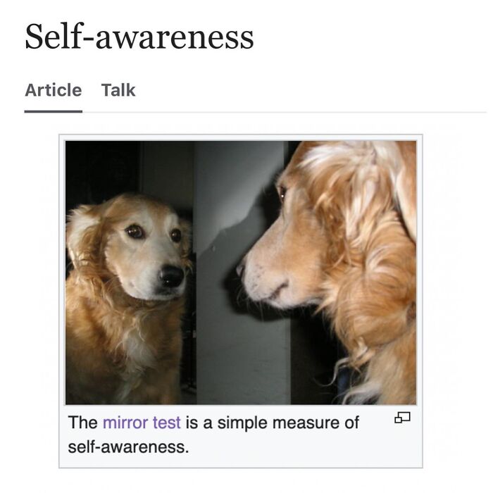 This Page Is Dedicated To The Weird Side Of Wikipedia, And Here Are 69 Of The Best Animal-Related Examples This Page Is Dedicated To The Weird Side Of Wikipedia, And Here Are 69 Of The Best Animal-Related Examples