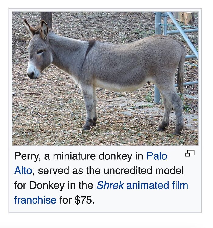 This Page Is Dedicated To The Weird Side Of Wikipedia, And Here Are 69 Of The Best Animal-Related Examples This Page Is Dedicated To The Weird Side Of Wikipedia, And Here Are 69 Of The Best Animal-Related Examples