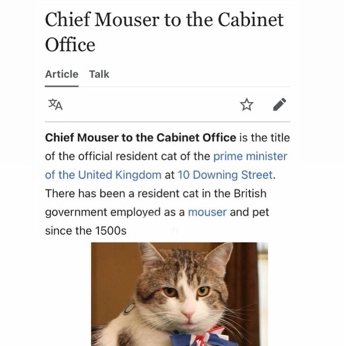 This Page Is Dedicated To The Weird Side Of Wikipedia, And Here Are 69 Of The Best Animal-Related Examples This Page Is Dedicated To The Weird Side Of Wikipedia, And Here Are 69 Of The Best Animal-Related Examples
