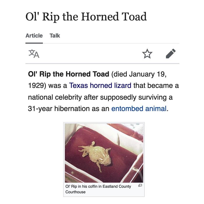 This Page Is Dedicated To The Weird Side Of Wikipedia, And Here Are 69 Of The Best Animal-Related Examples This Page Is Dedicated To The Weird Side Of Wikipedia, And Here Are 69 Of The Best Animal-Related Examples
