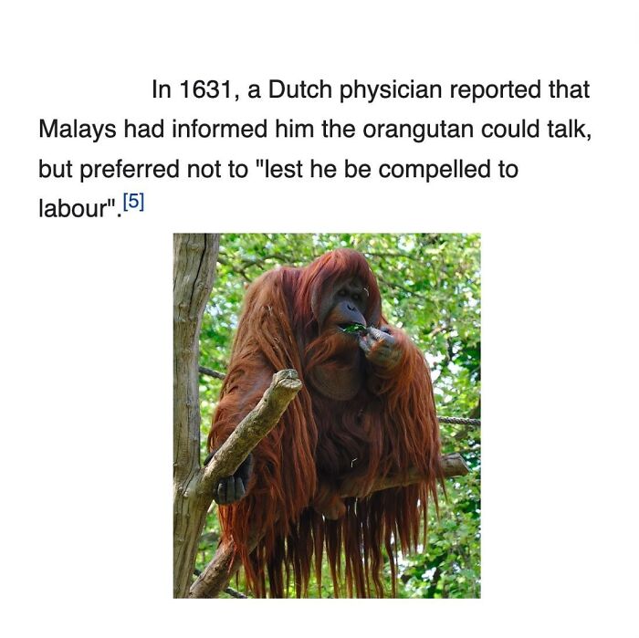 This Page Is Dedicated To The Weird Side Of Wikipedia, And Here Are 69 Of The Best Animal-Related Examples This Page Is Dedicated To The Weird Side Of Wikipedia, And Here Are 69 Of The Best Animal-Related Examples