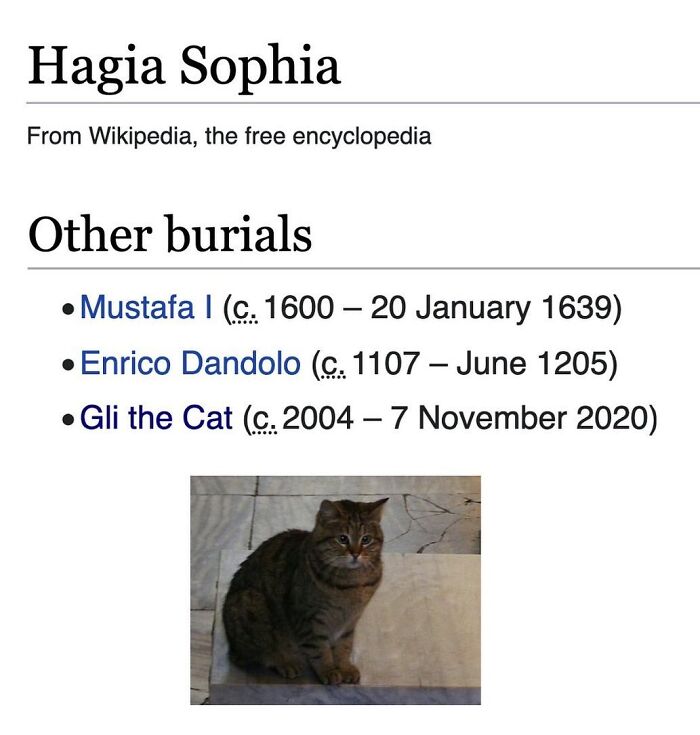 This Page Is Dedicated To The Weird Side Of Wikipedia, And Here Are 69 Of The Best Animal-Related Examples This Page Is Dedicated To The Weird Side Of Wikipedia, And Here Are 69 Of The Best Animal-Related Examples