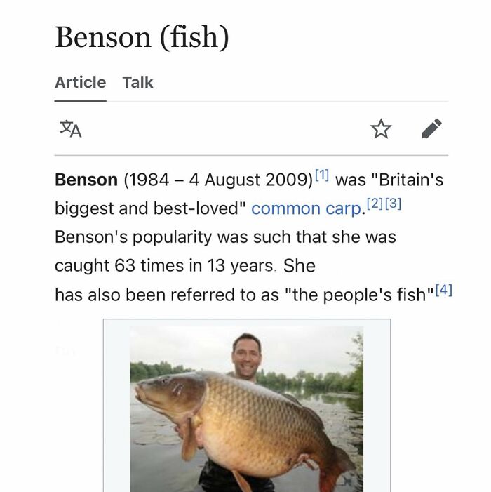This Page Is Dedicated To The Weird Side Of Wikipedia, And Here Are 69 Of The Best Animal-Related Examples This Page Is Dedicated To The Weird Side Of Wikipedia, And Here Are 69 Of The Best Animal-Related Examples