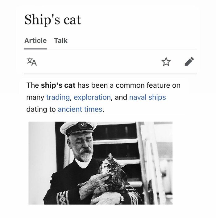 This Page Is Dedicated To The Weird Side Of Wikipedia, And Here Are 69 Of The Best Animal-Related Examples This Page Is Dedicated To The Weird Side Of Wikipedia, And Here Are 69 Of The Best Animal-Related Examples