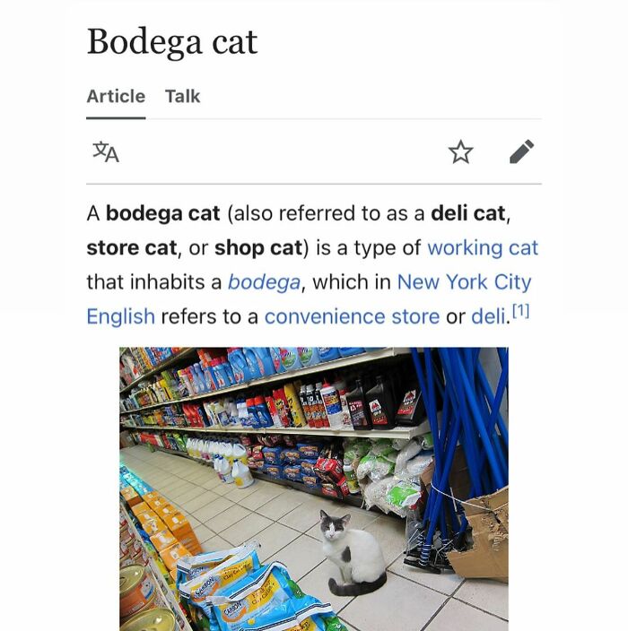This Page Is Dedicated To The Weird Side Of Wikipedia, And Here Are 69 Of The Best Animal-Related Examples This Page Is Dedicated To The Weird Side Of Wikipedia, And Here Are 69 Of The Best Animal-Related Examples