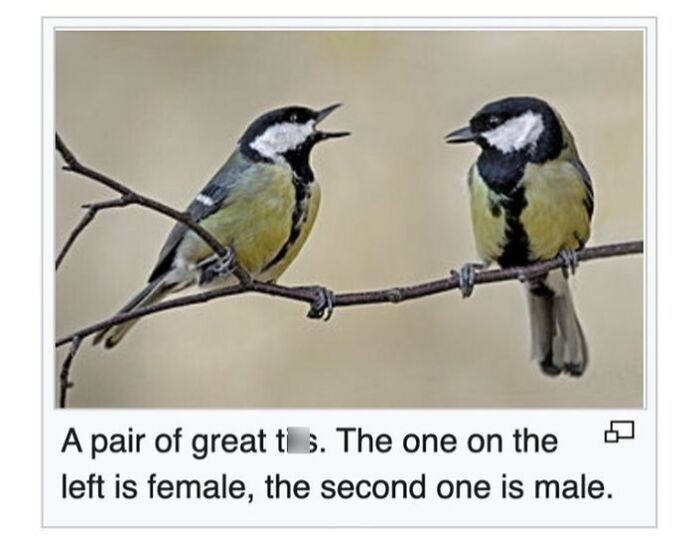 This Page Is Dedicated To The Weird Side Of Wikipedia, And Here Are 69 Of The Best Animal-Related Examples This Page Is Dedicated To The Weird Side Of Wikipedia, And Here Are 69 Of The Best Animal-Related Examples