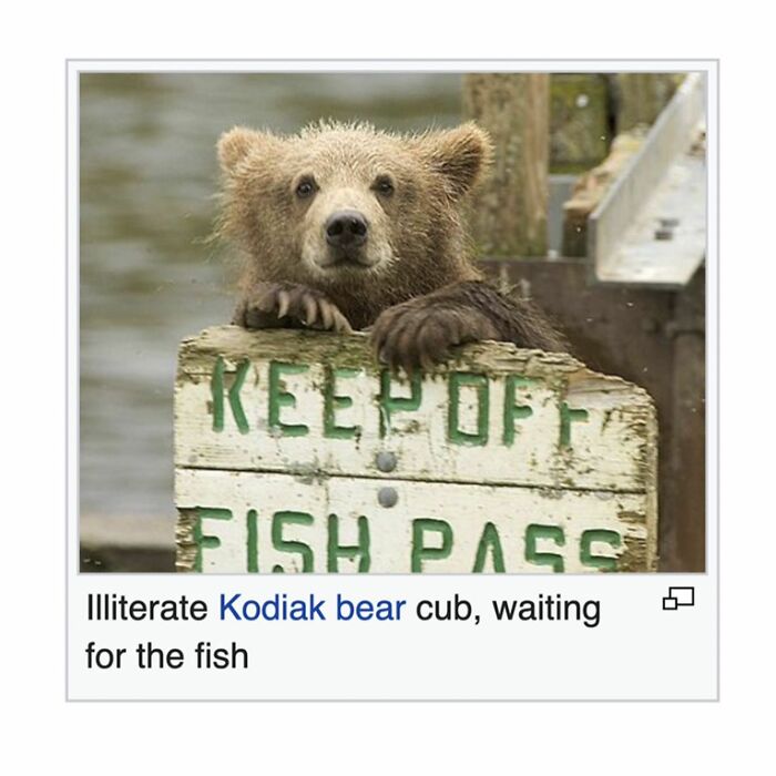 This Page Is Dedicated To The Weird Side Of Wikipedia, And Here Are 69 Of The Best Animal-Related Examples This Page Is Dedicated To The Weird Side Of Wikipedia, And Here Are 69 Of The Best Animal-Related Examples