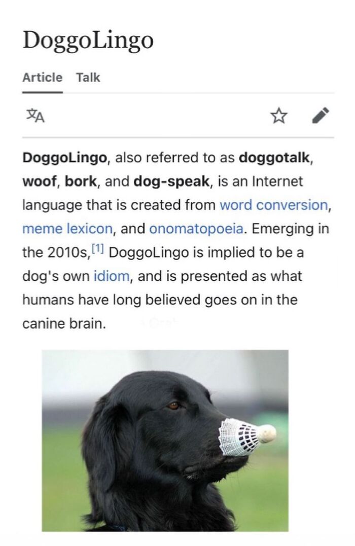 This Page Is Dedicated To The Weird Side Of Wikipedia, And Here Are 69 Of The Best Animal-Related Examples This Page Is Dedicated To The Weird Side Of Wikipedia, And Here Are 69 Of The Best Animal-Related Examples