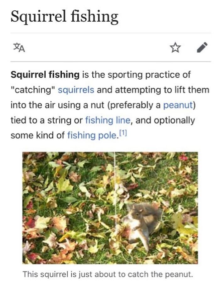 This Page Is Dedicated To The Weird Side Of Wikipedia, And Here Are 69 Of The Best Animal-Related Examples This Page Is Dedicated To The Weird Side Of Wikipedia, And Here Are 69 Of The Best Animal-Related Examples