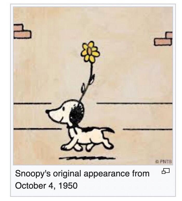 This Page Is Dedicated To The Weird Side Of Wikipedia, And Here Are 69 Of The Best Animal-Related Examples This Page Is Dedicated To The Weird Side Of Wikipedia, And Here Are 69 Of The Best Animal-Related Examples