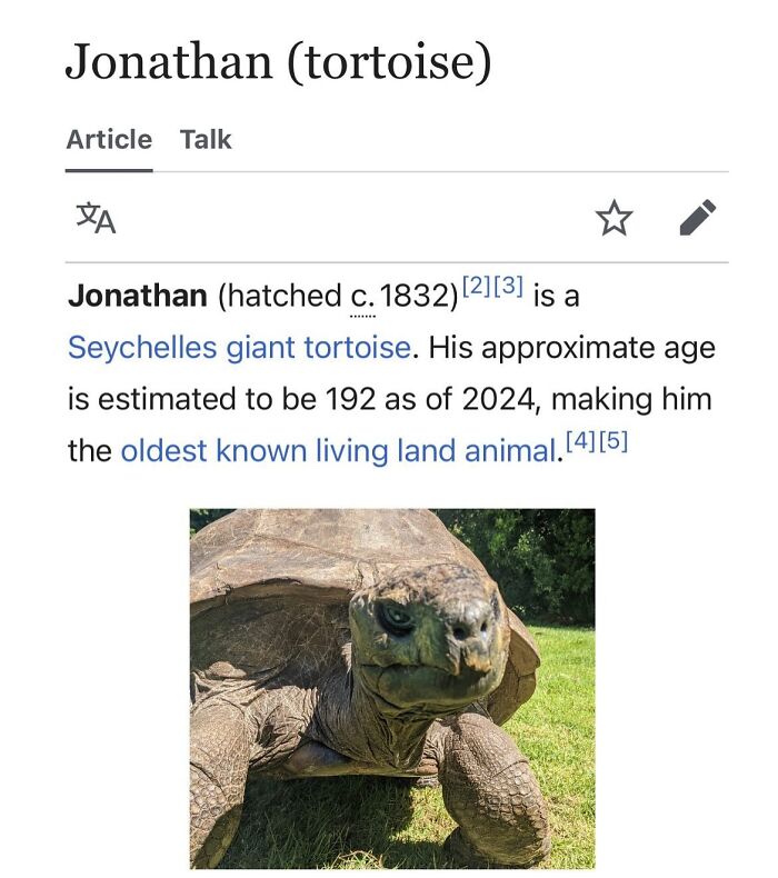 This Page Is Dedicated To The Weird Side Of Wikipedia, And Here Are 69 Of The Best Animal-Related Examples This Page Is Dedicated To The Weird Side Of Wikipedia, And Here Are 69 Of The Best Animal-Related Examples