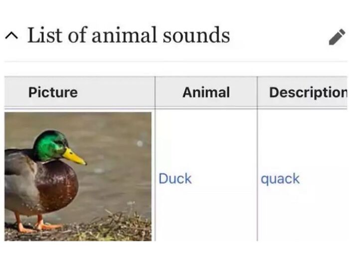 This Page Is Dedicated To The Weird Side Of Wikipedia, And Here Are 69 Of The Best Animal-Related Examples This Page Is Dedicated To The Weird Side Of Wikipedia, And Here Are 69 Of The Best Animal-Related Examples