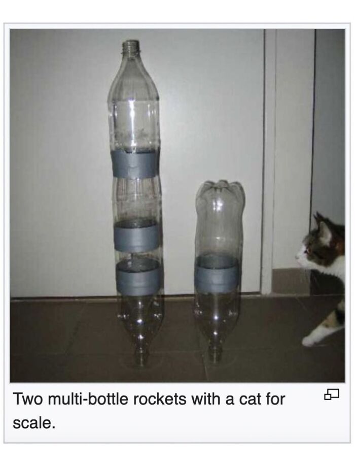 This Page Is Dedicated To The Weird Side Of Wikipedia, And Here Are 69 Of The Best Animal-Related Examples This Page Is Dedicated To The Weird Side Of Wikipedia, And Here Are 69 Of The Best Animal-Related Examples