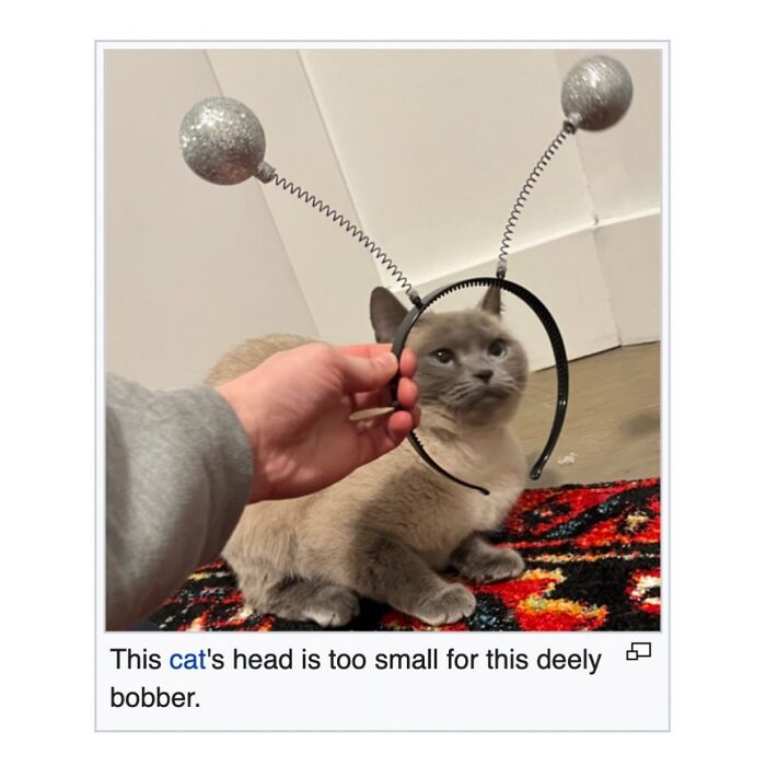 This Page Is Dedicated To The Weird Side Of Wikipedia, And Here Are 69 Of The Best Animal-Related Examples This Page Is Dedicated To The Weird Side Of Wikipedia, And Here Are 69 Of The Best Animal-Related Examples