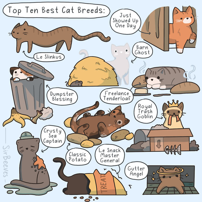 This Artist Captures Relatable Everyday Moments In Her 30 New Comics