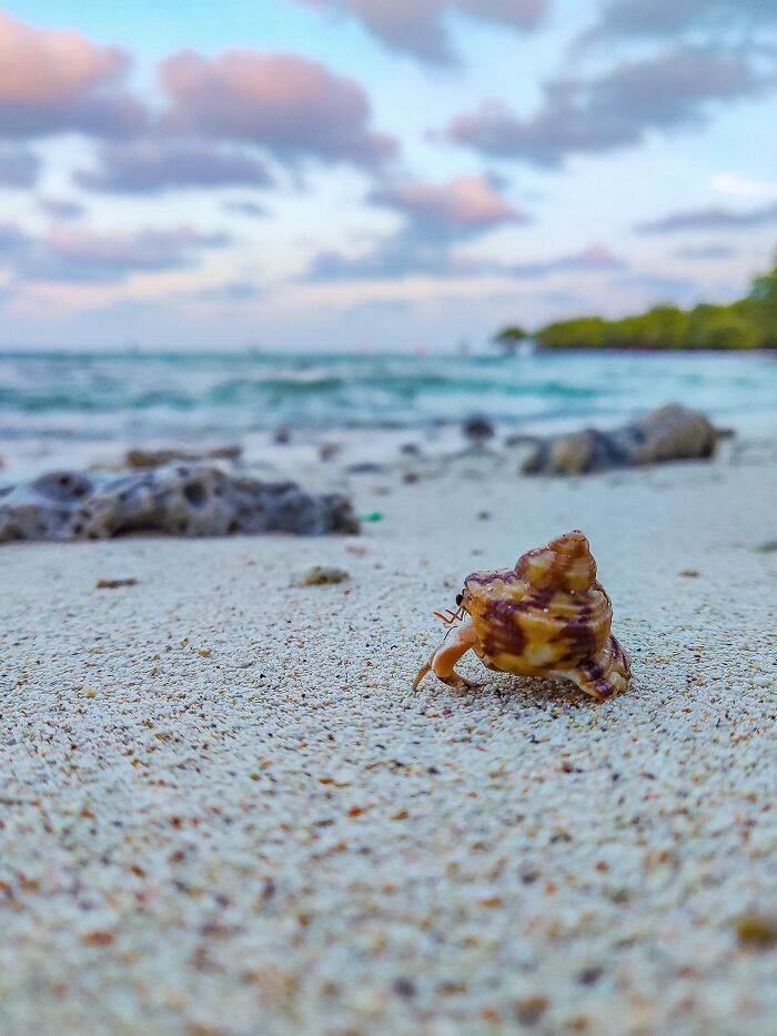 42 Random Camera Clicks That Turned Out To Be The Most Incredible Photos Ever 42 Random Camera Clicks That Turned Out To Be The Most Incredible Photos Ever
