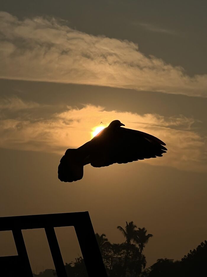 42 Random Camera Clicks That Turned Out To Be The Most Incredible Photos Ever 42 Random Camera Clicks That Turned Out To Be The Most Incredible Photos Ever