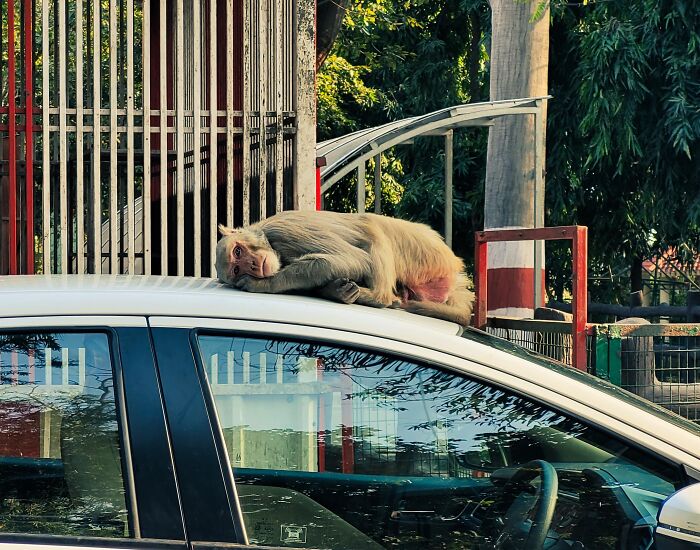 42 Random Camera Clicks That Turned Out To Be The Most Incredible Photos Ever 42 Random Camera Clicks That Turned Out To Be The Most Incredible Photos Ever