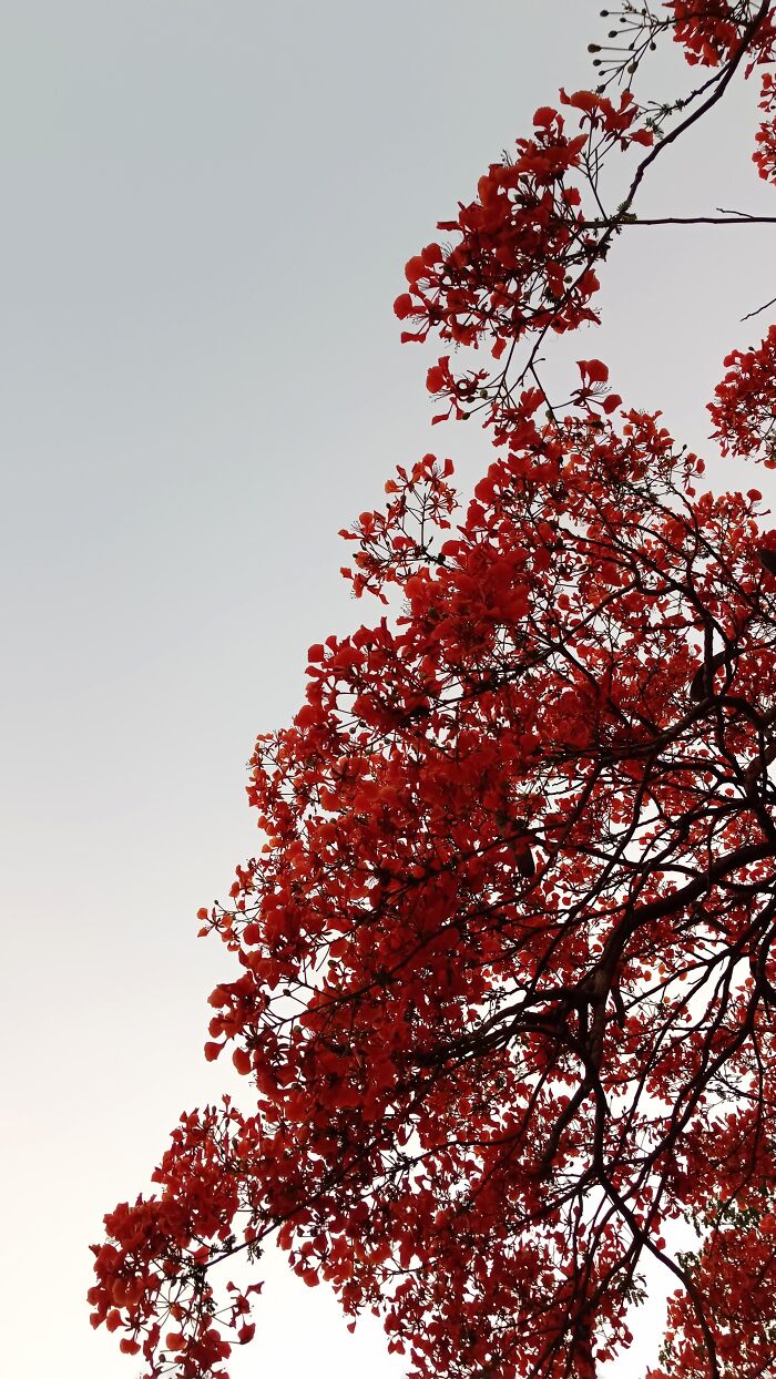42 Random Camera Clicks That Turned Out To Be The Most Incredible Photos Ever 42 Random Camera Clicks That Turned Out To Be The Most Incredible Photos Ever
