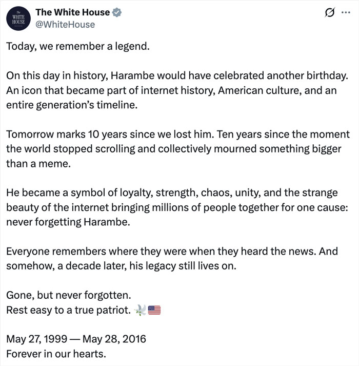 From Viral Memes To Heartfelt Tributes, Harambe&rsquo;s 10th Anniversary Sparks Frenzy With White House In The Mix