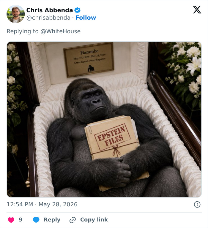 From Viral Memes To Heartfelt Tributes, Harambe&rsquo;s 10th Anniversary Sparks Frenzy With White House In The Mix