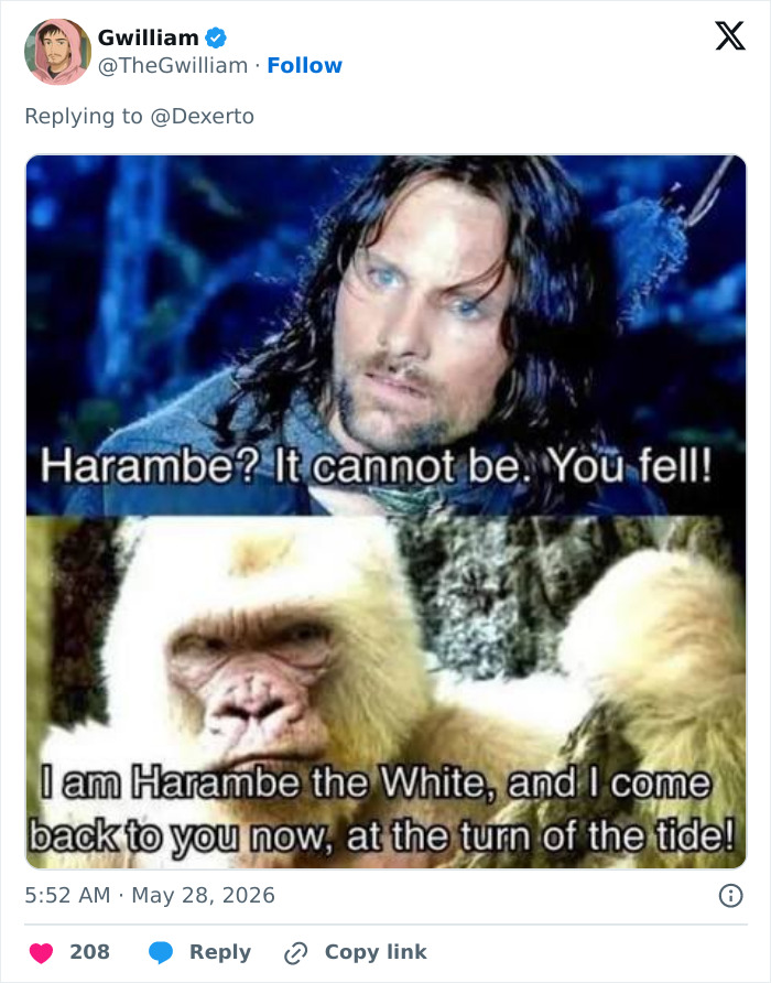 From Viral Memes To Heartfelt Tributes, Harambe&rsquo;s 10th Anniversary Sparks Frenzy With White House In The Mix