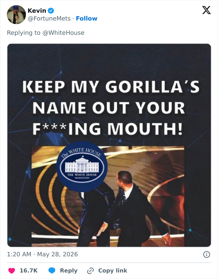 From Viral Memes To Heartfelt Tributes, Harambe&rsquo;s 10th Anniversary Sparks Frenzy With White House In The Mix