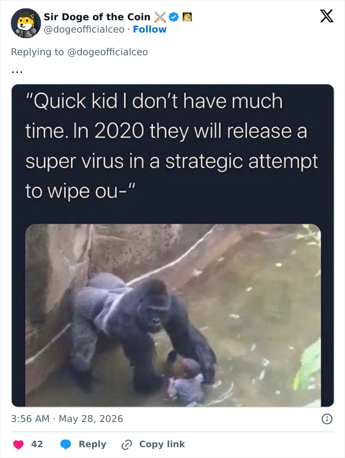 From Viral Memes To Heartfelt Tributes, Harambe&rsquo;s 10th Anniversary Sparks Frenzy With White House In The Mix
