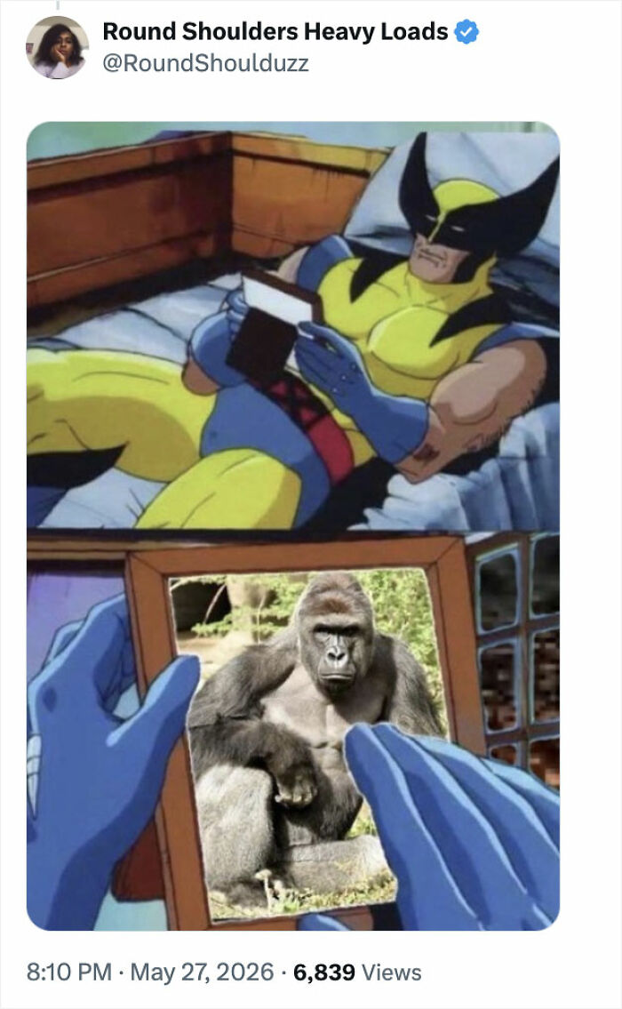 From Viral Memes To Heartfelt Tributes, Harambe&rsquo;s 10th Anniversary Sparks Frenzy With White House In The Mix