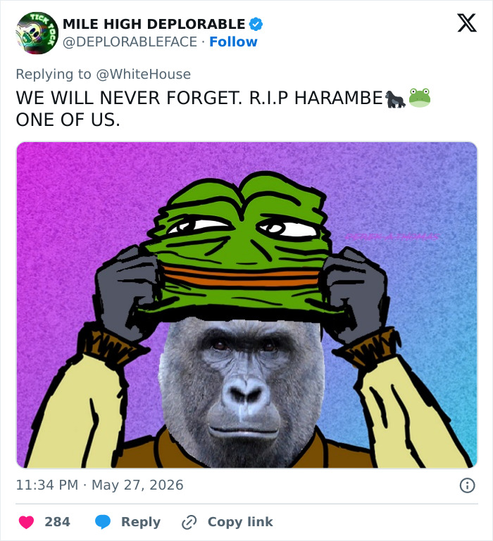 From Viral Memes To Heartfelt Tributes, Harambe&rsquo;s 10th Anniversary Sparks Frenzy With White House In The Mix