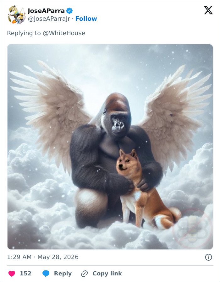 From Viral Memes To Heartfelt Tributes, Harambe&rsquo;s 10th Anniversary Sparks Frenzy With White House In The Mix