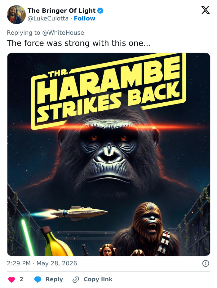 From Viral Memes To Heartfelt Tributes, Harambe&rsquo;s 10th Anniversary Sparks Frenzy With White House In The Mix