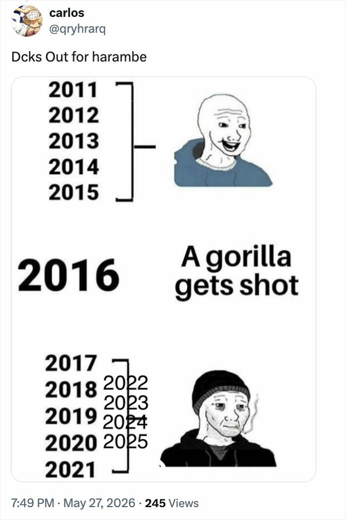 From Viral Memes To Heartfelt Tributes, Harambe&rsquo;s 10th Anniversary Sparks Frenzy With White House In The Mix