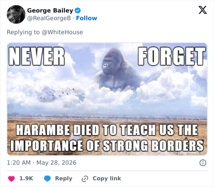 From Viral Memes To Heartfelt Tributes, Harambe&rsquo;s 10th Anniversary Sparks Frenzy With White House In The Mix